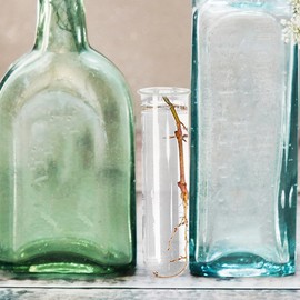 POPETPOP Plant Propagation Tubes 4pcs Glass Test Tube Vase Replacement Clear Hydroponic Flowers Vase for Home Office Desktop Decoration