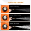 BEAMNOVA Power Car Steamer for Auto Detailing High Pressure Handheld