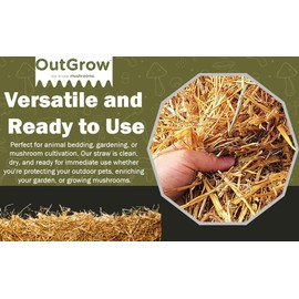 1 Cubic Foot of 100% All Natural Wheat Straw (4lbs)