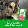 Greenies Feline Smartbites Skin & Fur Crunchy and Soft Cat