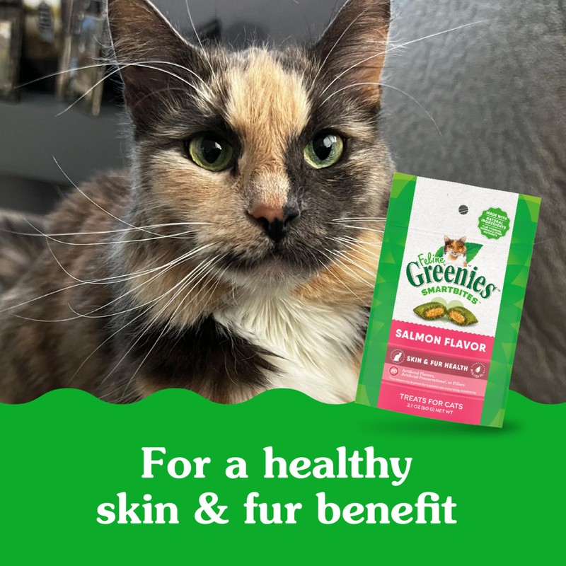 Greenies Feline Smartbites Skin & Fur Crunchy and Soft Cat