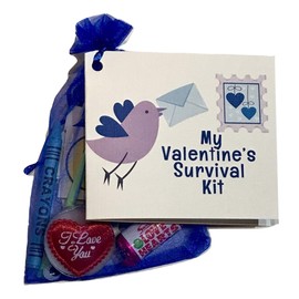 HDmirrorR Treasure Bags Valentines gift for him/her. Keepsake, lovetoken, boyfriend, girlfriend, wife, husband (Blue)