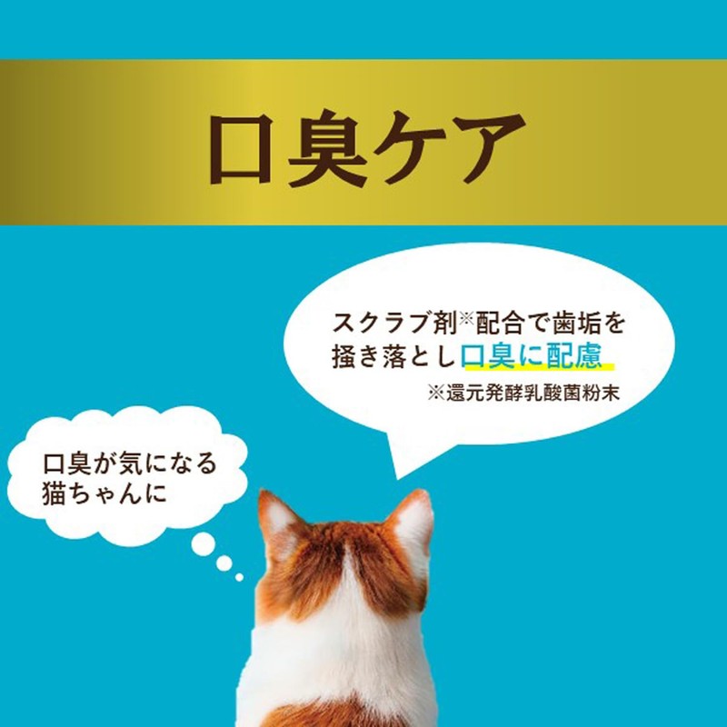 i Care Eye Care Bad Breath Care Tuna Paste 1.2