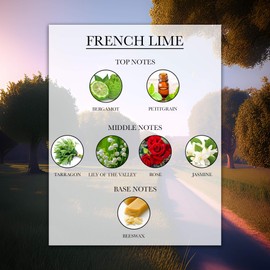 Lelior Fragrance Oil (50ML): Designer Collection (French Lime)