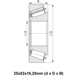 Parts and Parts Tapered Roller Bearing 30205 25 x 52 x 16.25 mm
