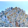 Sunch Craft 24 Sheets Flower Scrapbook Paper 6" x 6"