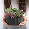 alqua Elliptischer selbstbewässernder Blumentopf, Orchidee und Blumentopf für den Innenbereich,