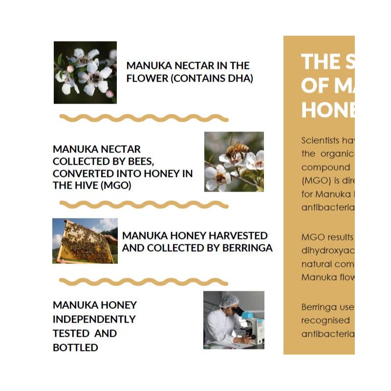 Berringa 100% Pure Australian Manuka Honey MGO 900 - 250
