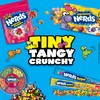 Nerds Rope Candy, Tropical Flavor, 0.92 Ounce Ropes (Pack of