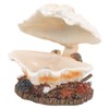 OSALADI Aquarium Shell Decoration Bubbler Function Craft for Fish Tank