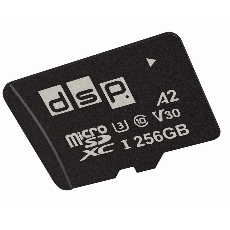 256 GB microSDXC Memory Card (A2, V30, U3) for CAT