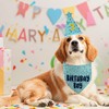 Dog Birthday Bandana Set, Blue Birthday Boy Decorations, HBD Party