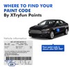 XTryfun R3 Burgundy Velvet Touch Up Paint Compatible with Ford,