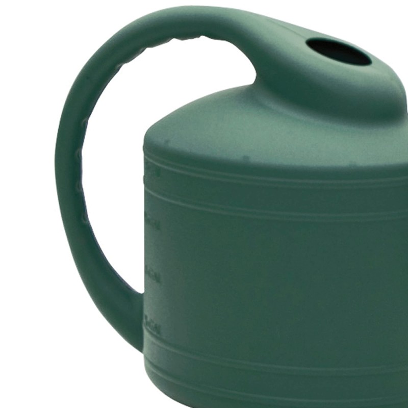 Southern Patio 2 Gallon Watering Can, Fern
