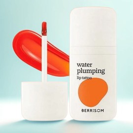Anjumain Berrisom Water Plumping Lip Tattoo Tint Pack 6g × No. 2 Coco Orange × 1 / 베리썸 워터 플럼핑 립 타투 틴트 팩 6g × 2호 코코오렌지 × 1개