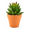 16-Pack Mini Terracotta Pots for Succulents & Cactus – 1.8-Inch