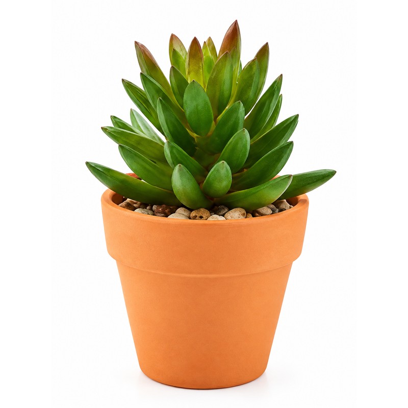 16-Pack Mini Terracotta Pots for Succulents & Cactus – 1.8-Inch