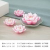 進物 Qing Lotus Light