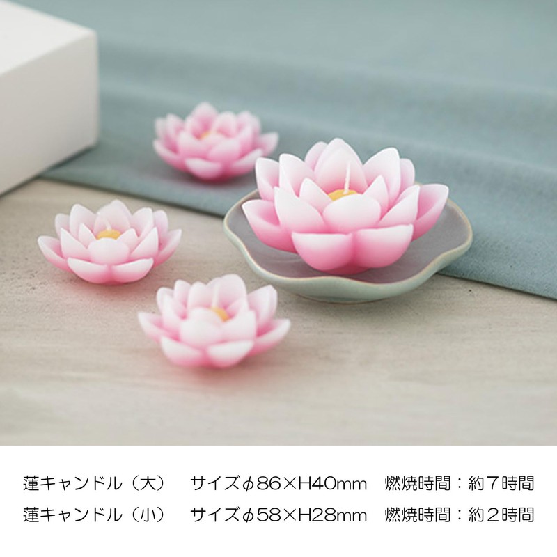 進物 Qing Lotus Light