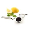 Norpro Mesh Tea Ball with Cup Rest Handle