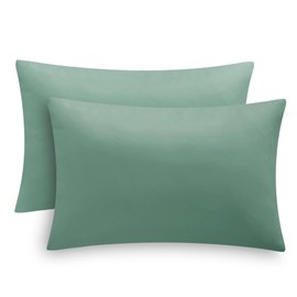 Tifschlaf Pillow Cases 2 Pack - Sage Green Pillowcases Pack of 2, 100% Brushed Microfiber Standard Queen Pillow Covers With Envelope Closure, 50x75 cm