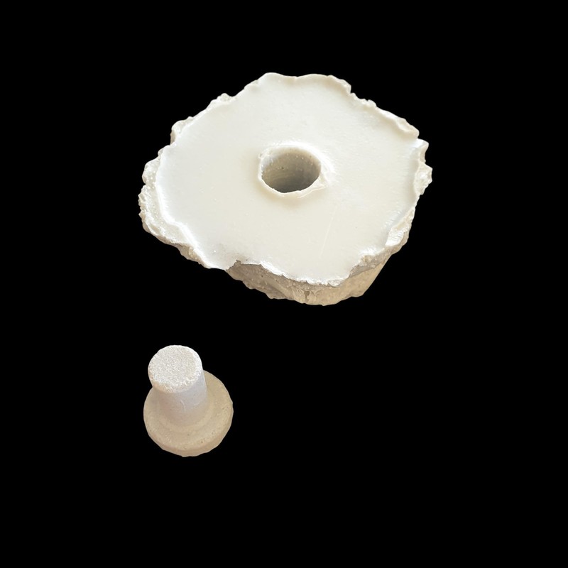 Coral Frag Propagation Rock x 1 With Plug