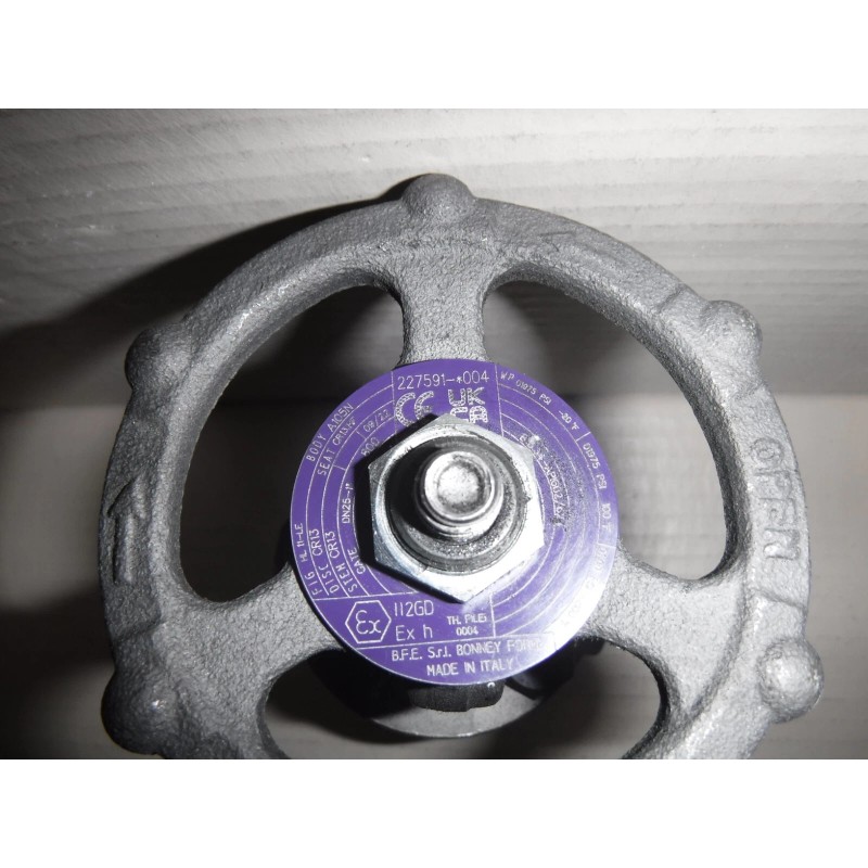 Bonney Forge Gate Valve 1" Class 800 , 01975 PSI