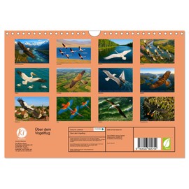 Über dem Vogelflug (Wandkalender 2026 DIN A4 quer), CALVENDO Monatskalender