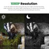 Trail Camera 2.0in IP66 Water Proof 1080P HD Outdoor Camera