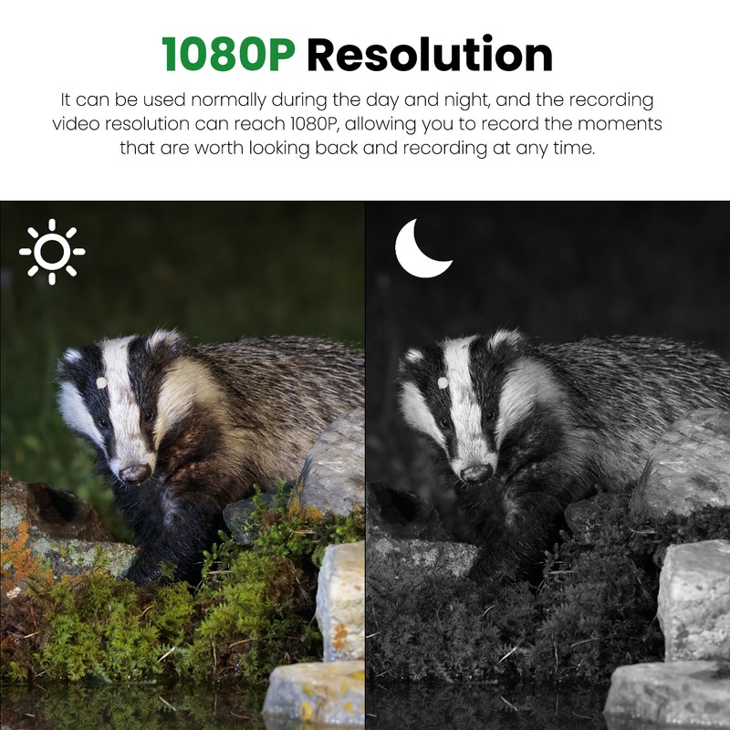 Trail Camera 2.0in IP66 Water Proof 1080P HD Outdoor Camera