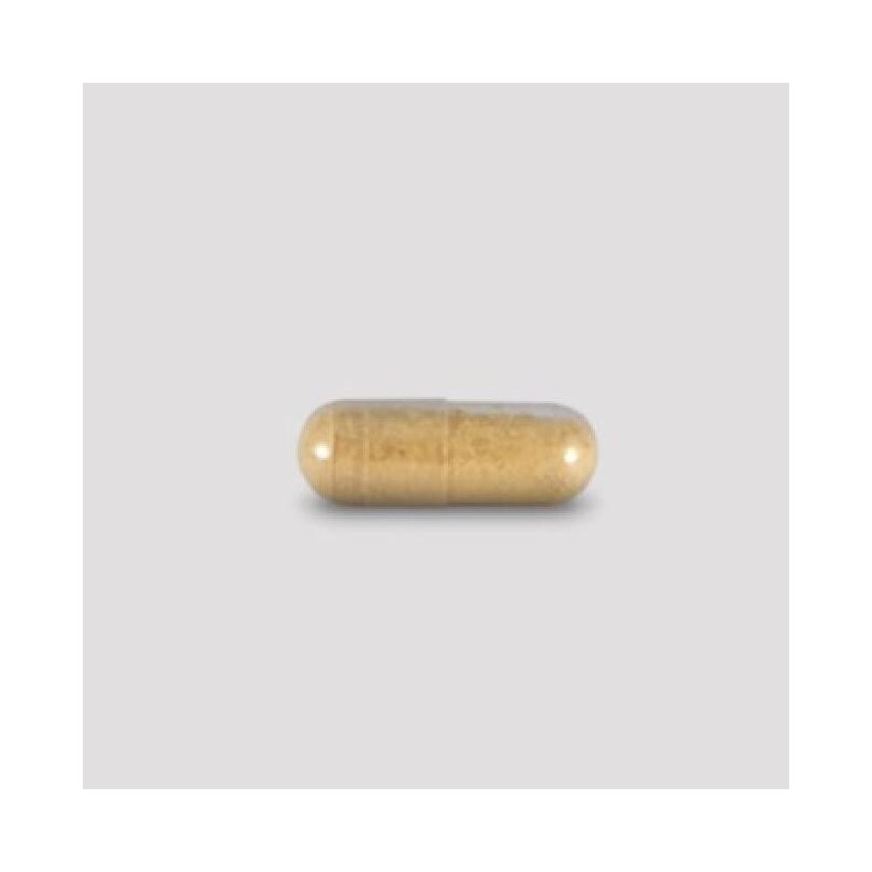 Samdae 500 Silymarin Milk Thistle Gift Set 90 Capsules 1