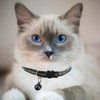 Hepplly 2 Pack Cat Collars Quick Release Reflective Kitten Collar