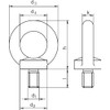Rigg ATEC Hook & Eye Bolts DIN 580 M10/verz.