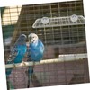 HEMOTON 2pcs Stainless Steel Parrot Perch Platforms Cozy Resting Jumping