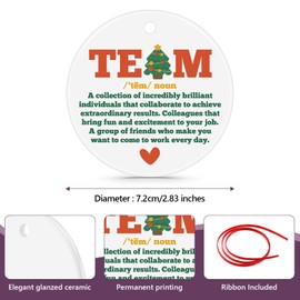 Team Appreciation Gifts for Women Best Team Ever Gifts Christmas Ornament Employee Appreciation Gift for Coworker Teacher Nurse Volunteer Ornament Thank You Inspirational Retirement Graduation Gift