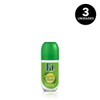 Fa - Caribbean Limes - Roll-on - 50 ml