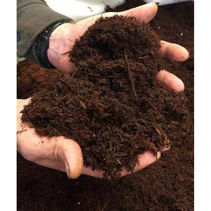 Fern Wood New Zealand Tree Fern Soft Orchid Substrate 1