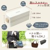 Asbel SS-T600N Smart Lock Bento Box, Slim, Antibacterial, C-Lantus, 2