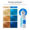 Kiss Tintation Semi Permanent Hair Colour With Argan oil, Aloe