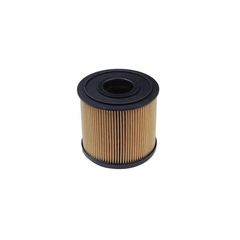 Blue Print ADK82325 Fuel Filter with Sealing Ring (Pack of