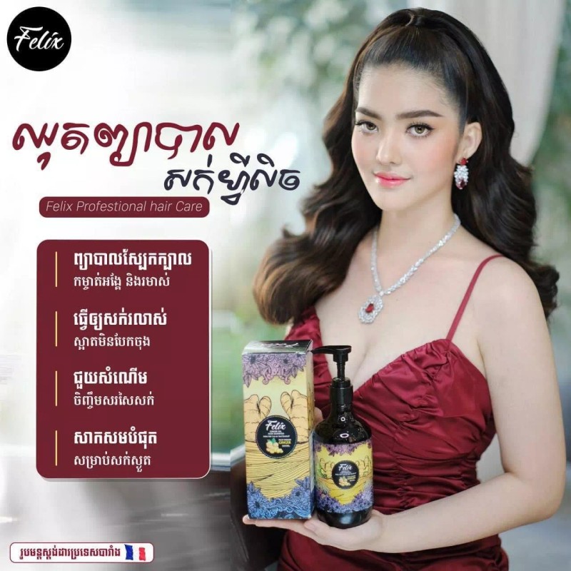 Felix 1 Set Felix Professional Hair Care ឈុតសាប៊ូកក់សក់