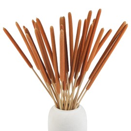 Songjum 25 Pcs 17in Dried Natural Brown Cattails Flowers Large Brown Cattails Bundles Beautiful Bulrush Plants Dry Flower for Wedding Party Decoration Farmhouse Garden Decoration