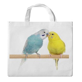 Designer Inspired Ladies Boutique Shopper Tote Bag with Handles – 38 – Budgie Design [08]