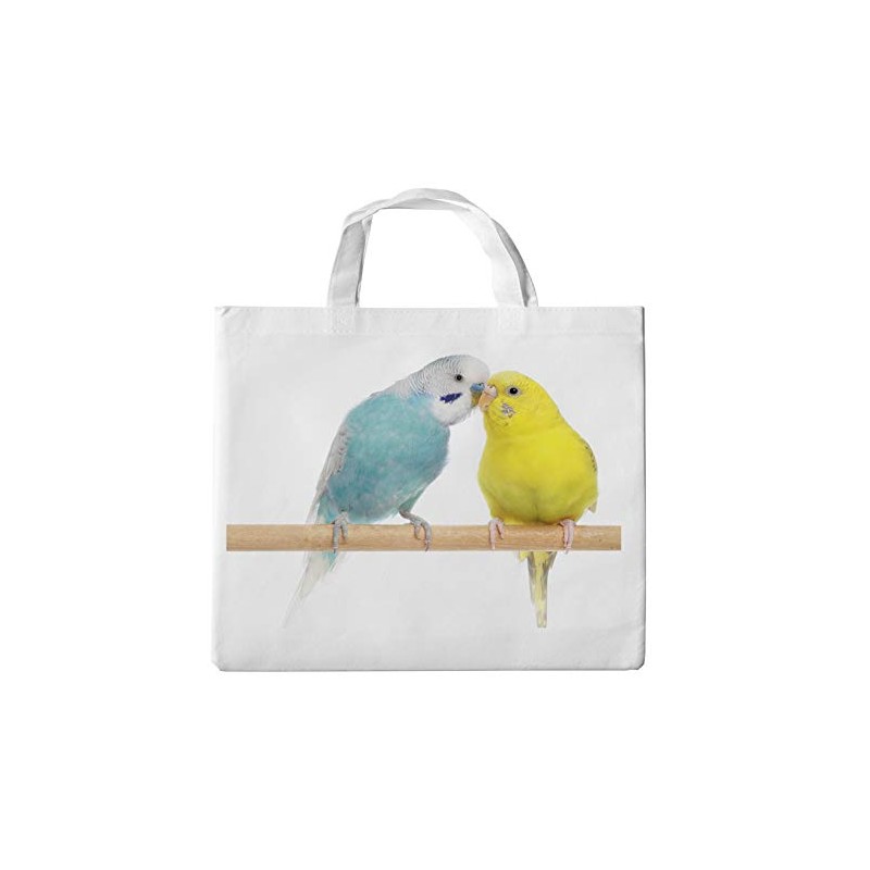 Designer Inspired Ladies Boutique Shopper Tote Bag with Handles –