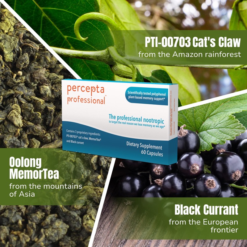 Percepta Professional Brain Supplement