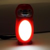 Widdle Gifts Ltd Animal Panel and Focus Torch - Frog
