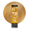 L'Oréal Technique HiColor Browns & Blondes Permanent Hair Color -