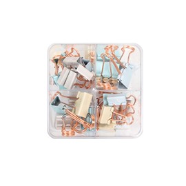 Delhi Deli pastel gold double clip set mixed 44 pieces / 델리 파스텔골드 더블클립 세트 혼합 44개입
