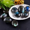 Audiophan Natural Gemstone Labradorite Plum Stone Gemstone 2pcs Irregular Polished