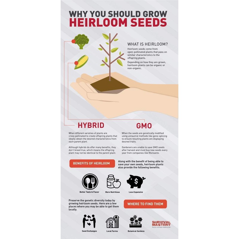 Set of 100 Valley Greene Assorted Heirloom Vegetable Seeds 100%